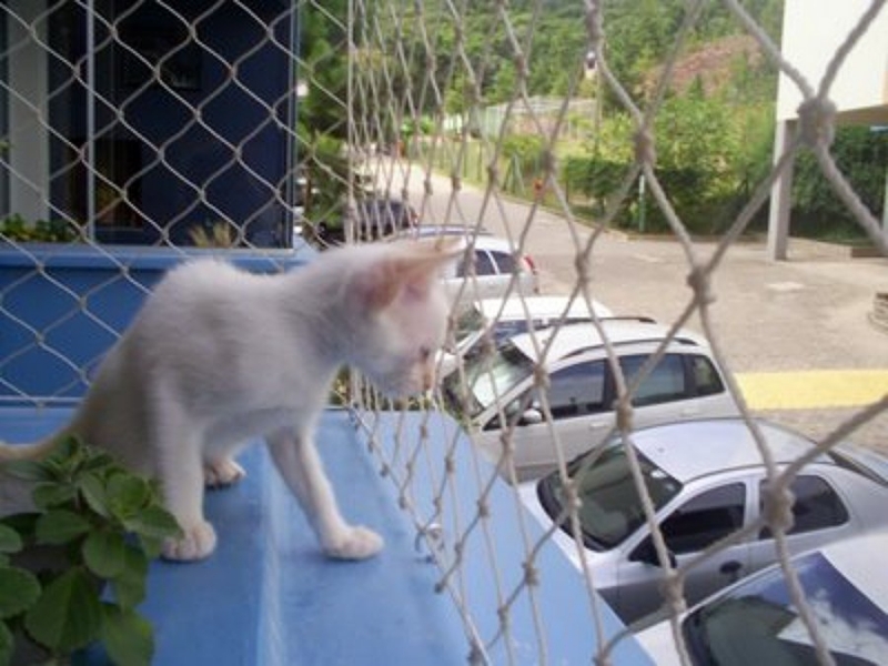 Instalação de Redes de Proteção para Gatos em Santana de Parnaíba SP Instalação de Redes de Proteção para Gatos em Santana de Parnaíba SP