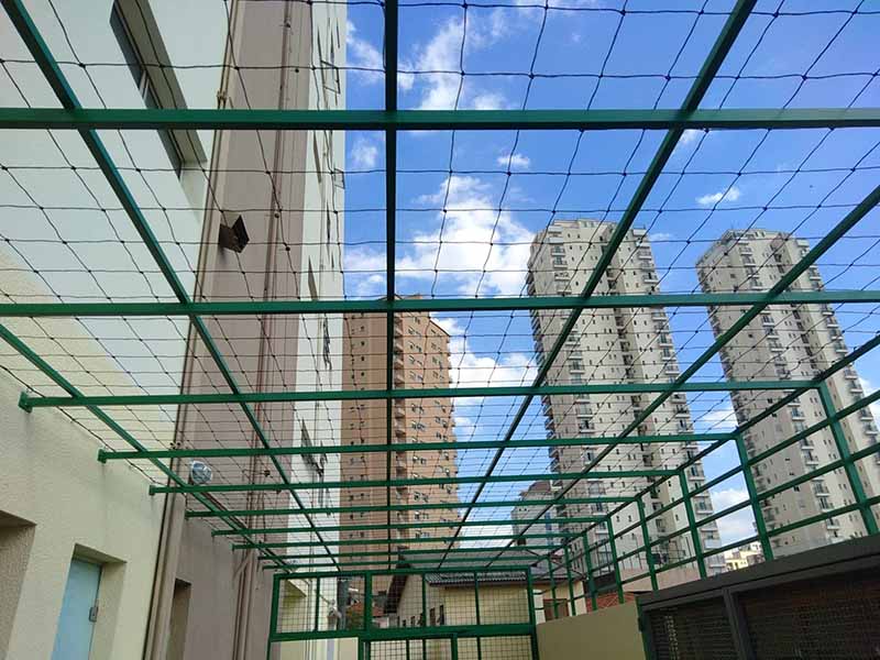 Proteção Segura Para Gatos Em Varandas Com Crianças e Pets