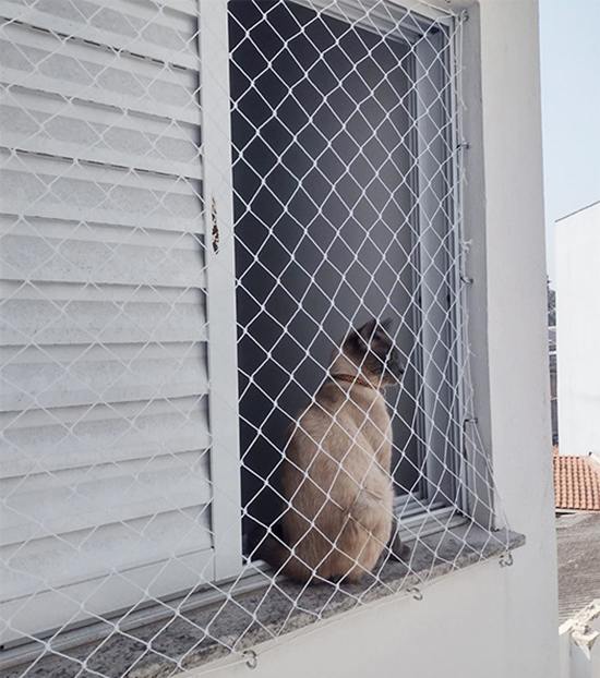 Rede de proteção para gatos preço Rede de proteção para gatos preço