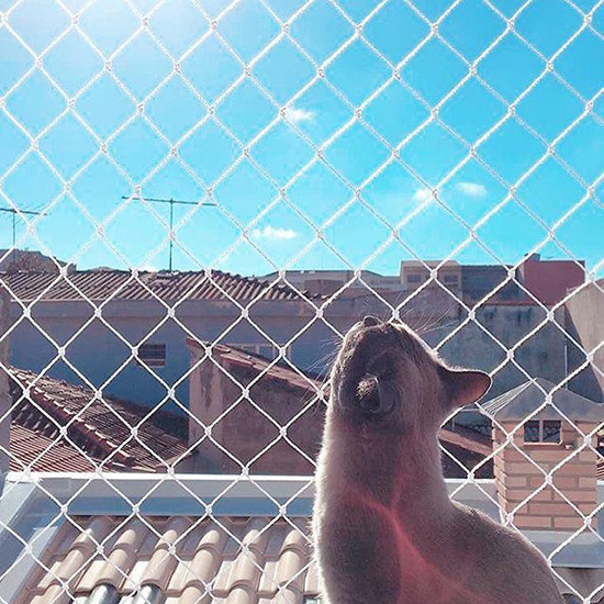 Redes de Proteção para Gatos em Barueri - SP Redes de Proteção para Gatos em Barueri - SP